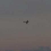 Spitfire At Night