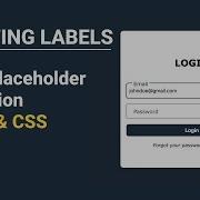 Floating Label HTML And CSS Floating Placeholder