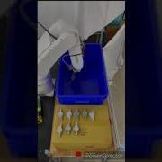 Bin Picking Task For Metal Object