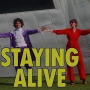 Learn The Disco Bedience