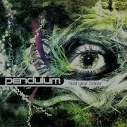 Pendulum Through The Loop High Quality