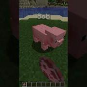 Minecraft Renaming Trick