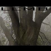 Setup Alembic Cache In Unreal Engine 5