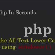 PHP How To Convert All Text Letter To Lower Case