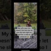 CELEBRATING MY WIFE S FIRST FART Shorts Viral Comedy Prank Joke Trending Relationship