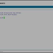 Bash How To Echo Array