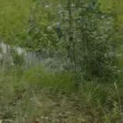 MVI 1082 Avi