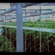 Lean And Lower In Less Than 30 Seconds Introducing The Summit Trellis System