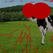 Cow Error 315