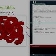 COMP1010 Variable Scope State Variables