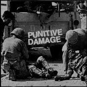 Punitive Damage We Don T Forget