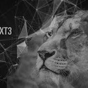 Plexus Style Opener After Effects Templates