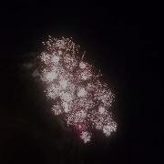 Rat Bastard Firework