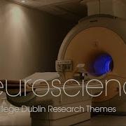 Neuroscience Research Theme At Trinity