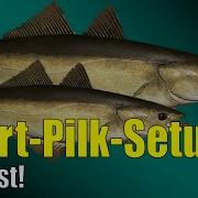 Russian Fishing 4 Norwegian Sea Pilk Setup Start In Test Silver And XP With Small Fish Rf4