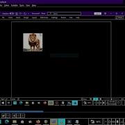 How To Add Alt Text For Image On MS Word For Screen Reader Accessibility
