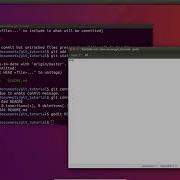 Git 3 Git Basics