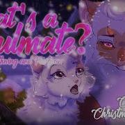 What S A Soulmate Warrior Cats Mothwing And Frostpaw COMPLETE CHRISTMAS MAP