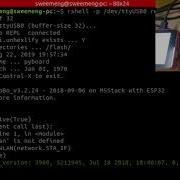 Networking On M5stack Micropython