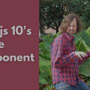 Next Js 10 S New Image Component