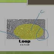 Fingerprints Pattern Ulnar And Radial Loop