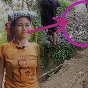 Chapia Parani Dipali Reang Lama Chaya Ung Laimo Shakhna Rimo