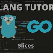 Golang Tutorial 13 Slices