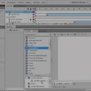 Introduction Of ActionScript In Adobe Flash