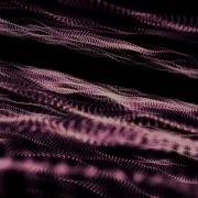 Trapcode Form Test Free Download