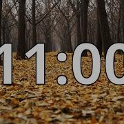 11 Minute Autumn Fall Countdown Timer With Music And Alarm Simple Beep