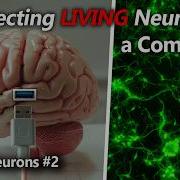 Working Neuron Arrays DOOM Neurons Part 2