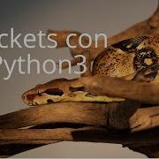Socket Básicos Con Python3