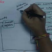 Parallel Processing In Computer Architecture COA Class 10 In Telugu