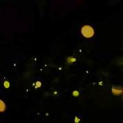 Synchronizing Fireflies