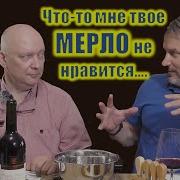 Обзор Мерло Незаслуженная слава второстепенного сорта