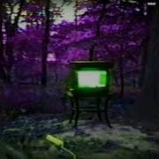 Bones Branches Slowed Reverb