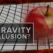 Is Gravity An Illusion