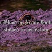Alligator Blood By Nicole Dollanganger Slowed Reverb