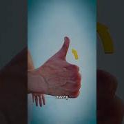 What Does This Long Thumb Muscle Do