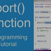 Abort Function C Programming Tutorial