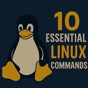 10 Essential Linux Commands Every Linux User Should Know