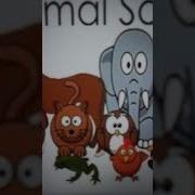 YAY Sound Meme