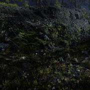 Unity Photorealistic Raining Scene With HDRP And Quixel
