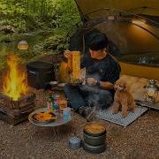 Camping In Forest With My Dog Korean Fried Chicken Spicy Whelks Noodles Wood Stove ASMR