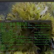 Linux Command Line Basics Navigation With Ls Cd And Pwd