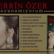 Zerrin Özer Dayanamıyorum Full Albüm 1987