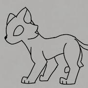Cat Walk Cycle Test