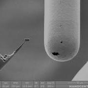 Focused Ion Beam Preparation Of TEM Lamella