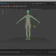 Maya Quick Rig Human Ik