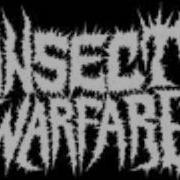 Insect Warfare Human Trafficking